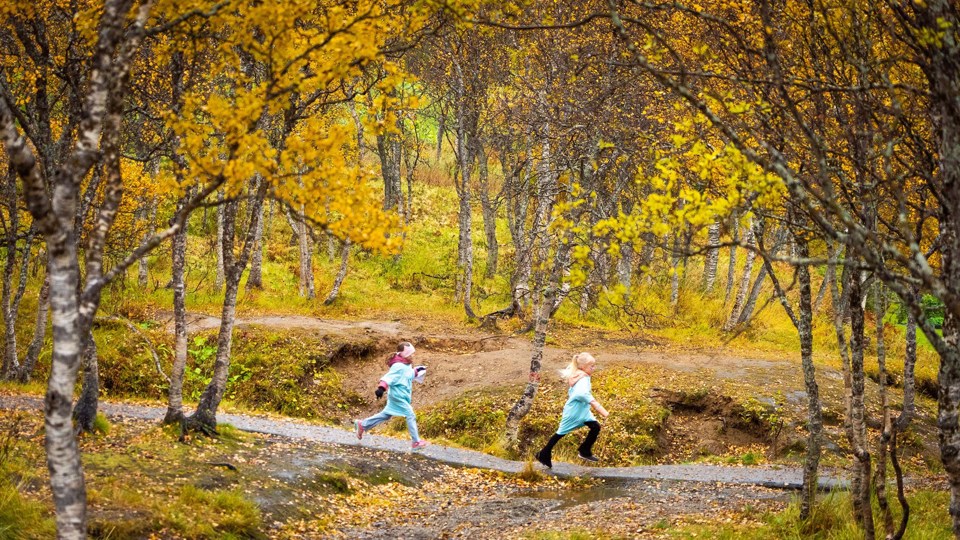 Skoleløp Håkon Steinmo Sparebank 1 Nord Norge (4)