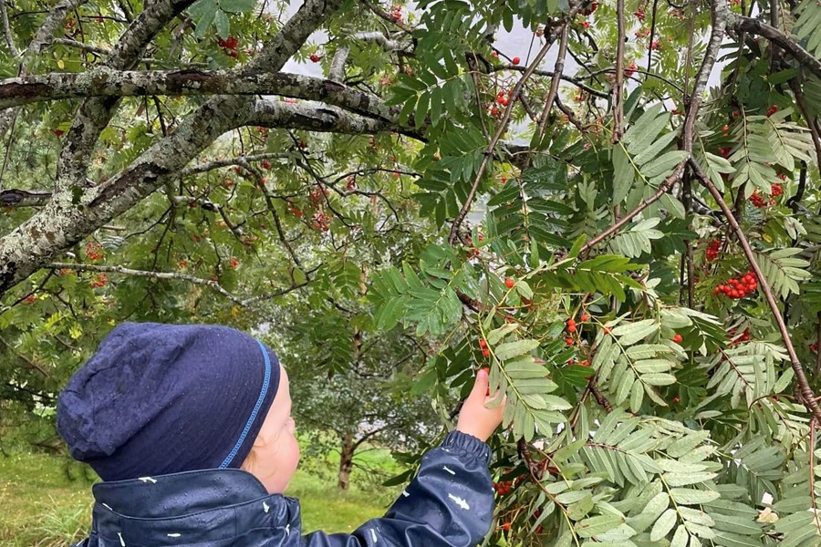 374180108 10159965327156758 5567877451987167171 N (1)